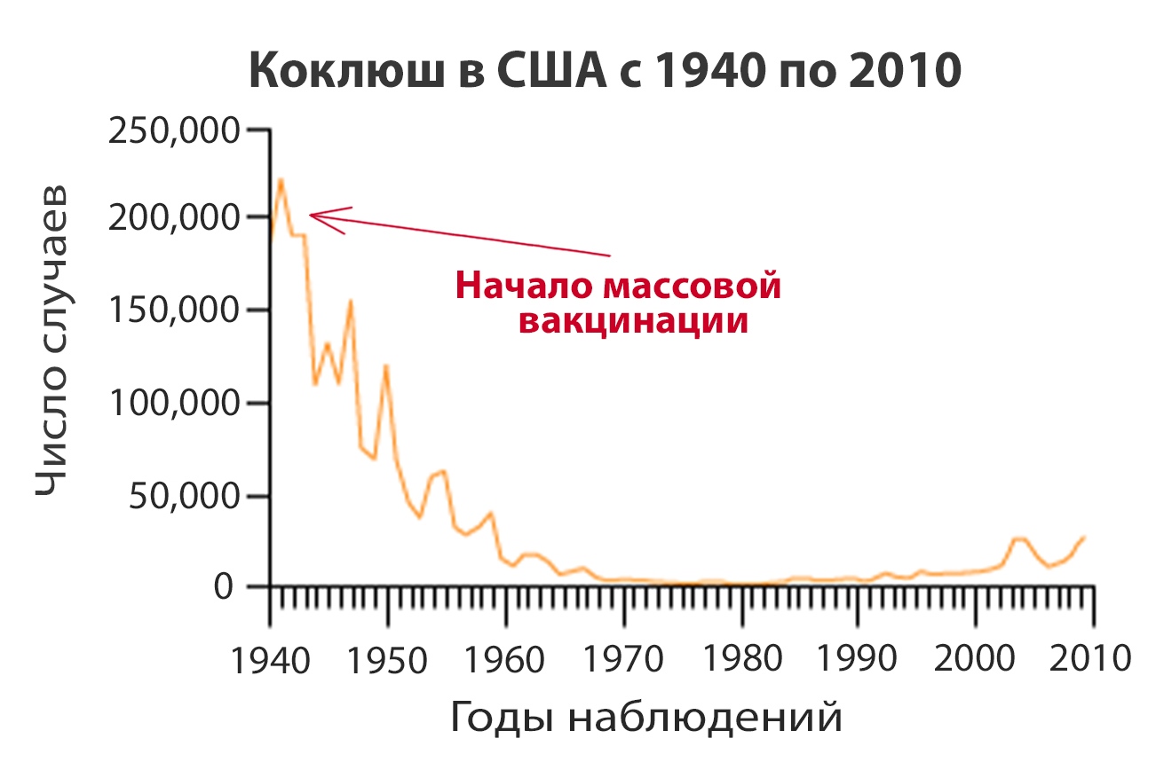 коклюш